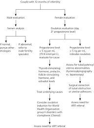 Evaluation And Treatment Of Infertility American Family