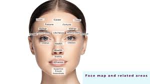 Chinese Face Reading Basics In 2020 Chinese Face Reading Face Reading Face