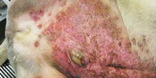 Check spelling or type a new query. How To Reduce Surgical Site Infections