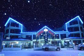 It is located on the northern slope of trialeti range, at an elevation of 1700 m above sea level, 180 km from tbilisi and 30 km from borjomi. Hotel Villa Palace Bakuriani Georgia Booking Com