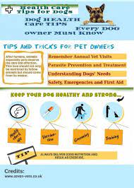 Dog Health Care Tips Visual Ly Dog Health Care Dog Health Medication For Dogs