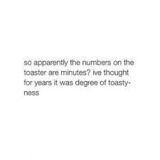 I Seriously Thought It Was The Level Of Toastedness I Just Now Learned That My Life Is A Lie Funny Quotes Just For Laughs Funny