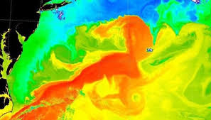 Hvis du er glad i vakker natur er lofoten virkelig stedet for deg. Golfstrommen Justerer Vaeret