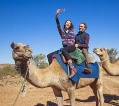 • ride a camel • fly in a. Camel Rides Alice Springs Covid19 Pyndan Camel Tracks