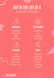 Baby should lift head during tummy time. 2 Month Old Baby