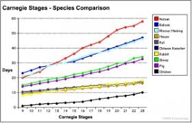 77 Meticulous Carnegie Chart