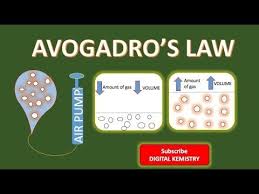 Avogadro S Law Avogadro S Law Balloon Demo Avogadro S Law Chemistry Balloons