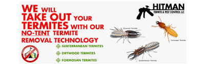 When you book within 2 weeks of your due date, we'll. Termites Info Control Pest Termite