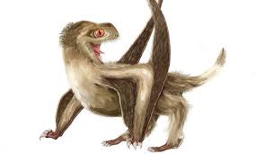 Federn hentz, federn pressen, federn gutekunst, federn kaufen, federn oßwald, federn schulze, federn brand, federn englisch, federn basteln. Hatten Schon Die Dino Vorfahren Federn Flugsaurier Fossilien Mit Federn Werfen Ganz Neues Licht Auf Feder Evolution Scinexx De