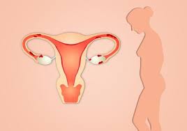 Many people worry about having a deep cervix and how it can affect fertility. Common Causes Of Trauma To Your Cervix Solace Women S Care Obstetrics Gynecology