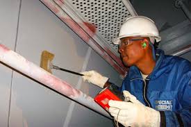 Coating Inspector Nace
