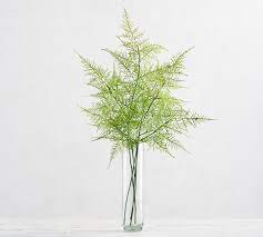 Faux Asparagus Fern Stem Pottery Barn Asparagus Fern Faux Plants Flower Branch