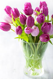 Maybe you would like to learn more about one of these? How To Care For Tulips Real Simple