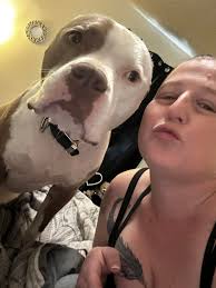 Lost Service Dog near KFC