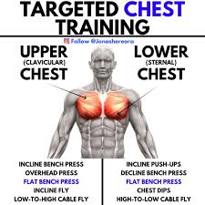 Gromgull drink water to build muscle and get shredded. 24 Best Chest Workout For Men Ideas Chest Workout Workout Chest Workout For Men