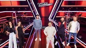 Im großen finale der jubiläumsstaffel sorgten die kandidaten mit ihren auftritten wieder für gänsehaut und emotionen. The Voice Of Germany 2020 Finale Heute Im Tv Bei Sat 1 Und Live Stream Sehen Kino De