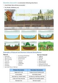 Ecological Succession Ecological Succession Ecology Ecological Systems