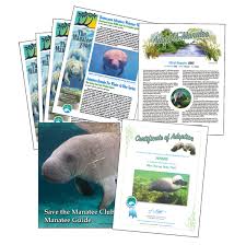 Adopt A Manatee Save The Manatee Club