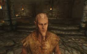 Skyrim Wood Elf Updated 06 06 2013 04 38pm Wood Elf Skyrim Wood Elf Skyrim