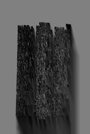 Image result for Physotrichia heracleoides