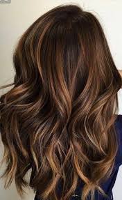 35 Hottest Fall Hair Colour Ideas For All Hair Types 2019 Fall Hair Colour Autumn Flower Type Brunette Hair Color Brown Hair With Highlights Cool Hair Color