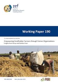Pdf Empowering Smallholder Farmers Through Farmer Organizations Insights From Kenya And Burkina Faso