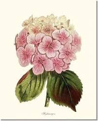 All craft supplies & tools. 81 Spring Flowers In Art Ideas In 2021 Spring Art Art Prints Prints