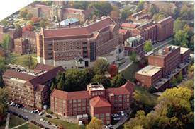I enjoyed walking the campus again of my old alma mater. University Of Tennessee Knoxville Campus Google Search University Of Tennessee Tennessee Knoxville Tennessee