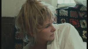 Harry Shuster's Instagram, Twitter & Facebook