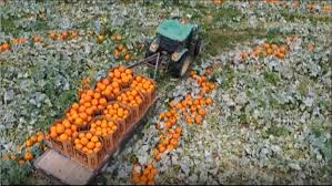 Image result for tbn:0PJB32OL7JwfOM::farm4.static.flickr.com/3324/3329876139_f2d551139f.jpg