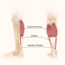 Maybe you would like to learn more about one of these? Sore Calves A Full Guide The Best Stretches And Exercises