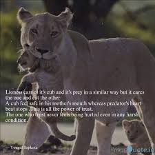 He that loves not his wife and children feeds a lioness at home, and broods a nest of sorrows. Lioness Carries It S Cub Quotes Writings By Yougal Sapkota Yourquote