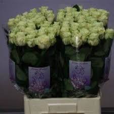 Reprezinta marcile inregistrate ale s.c. Pin On Floral Design