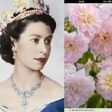 I'm very sad to advise that our Queen Elizabeth has passed just over ten  minutes ago. I'm sure many of us feel like she's been a part of our lives