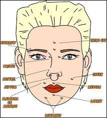 Facial Piercings Chart Facial Piercings Piercings Dermal