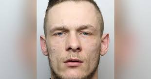 Nathan Nicholson slapped, kicked and punched woman