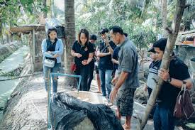 การเพาะเห ดหล ม เห ดหล ม ไม ต องสร างโรงเร อนเน องจากเปล องงบประมาณและพ งง าย เม อพ ดถ งการเพาะเห ด คนจะน กถ งโรงเร อน ต องไปซ อจาก ไม ลวก ไม ไผ มาทำโรงเร อน