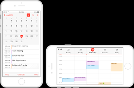 Assets of ios app icons in ios app design are added in various dimensions to the app package as plain or squared png files. Layout Visual Design Ios Human Interface Guidelines