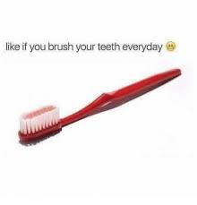 Like If You Brush Your Teeth Everyday Meme On Me Me