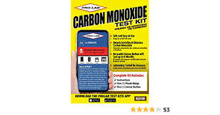 Carbon monoxide blends with your home's air and. Pro Lab Carbon Monoxide Test Kit Carbon Monoxide Detectors Amazon Com