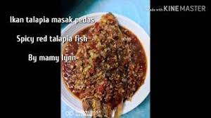 Resipi ikan talapia merah adalah ikan yang hidup di dalam air tawar. Resepi Ikan Talapia Merah Stim