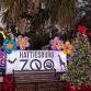 Lights of the Wild at Hattiesburg Zoo