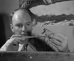 Archie Carr Archie Fairly Carr, Jr. (June 16, 1909