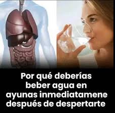 Si ves algo que no sea un rostro humano, tus ojos siguen estando a salva.🤭