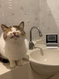 b - Random » Thread 856730034