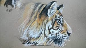 Tiger Free Download By Lineke Lijn On Deviantart Animal Drawings Pastel Drawing Colorful Drawings