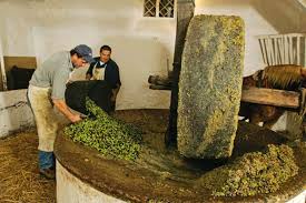 Pin By Djalal Hakiki On Etiquettes In 2020 Olive Oil Packaging Olive Press Olive