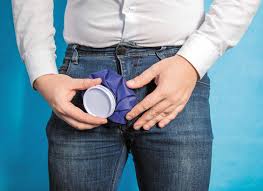 Image result for Scrotum