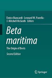 Beta maritima: The Origin of Beets: Biancardi, Enrico, Panella, Leonard W.,  McGrath, J. Mitchell: 9783030287474: Amazon.com: Books