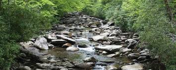 1161 haw ridge road is a 1 bath, 1124 sq ft property in piney flats, tn. Best Trails In Tennessee All Adventures
